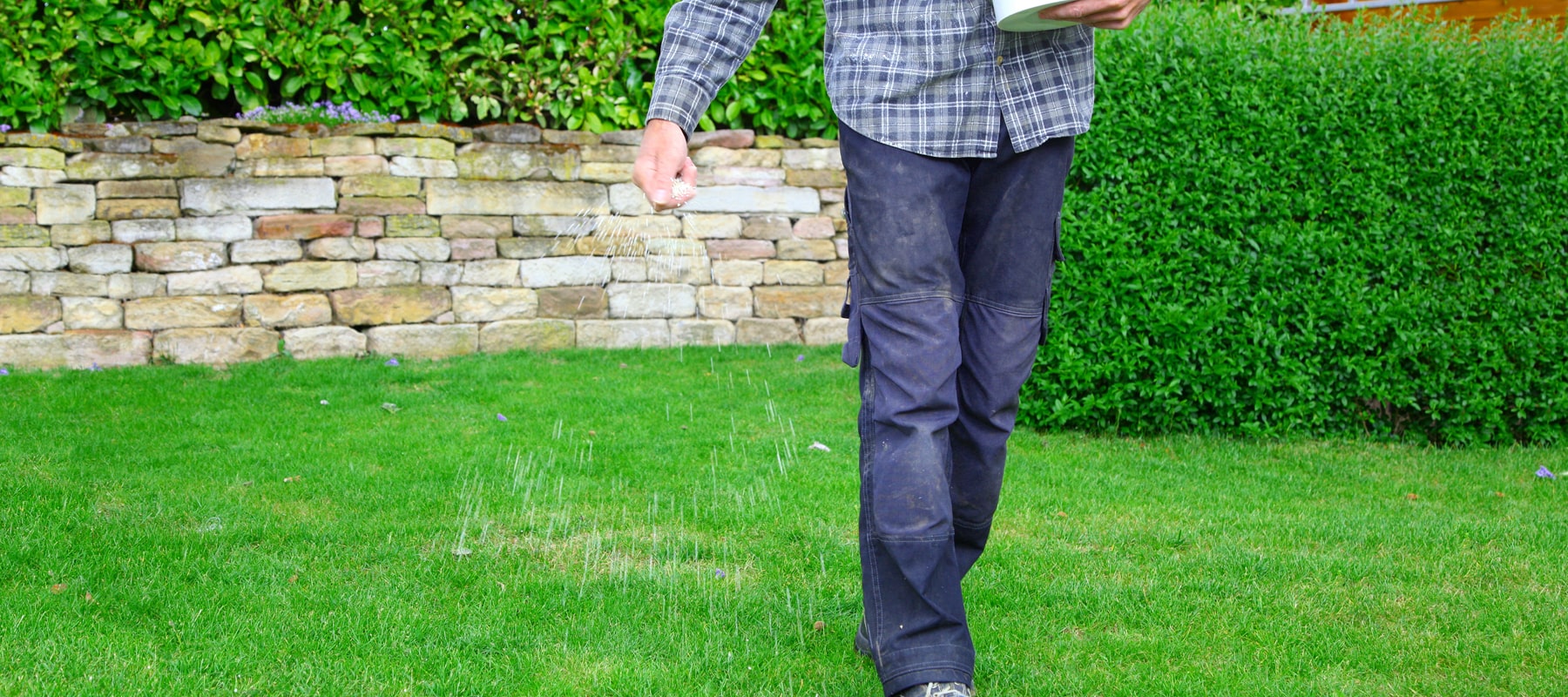 5 tips to look after your lawn