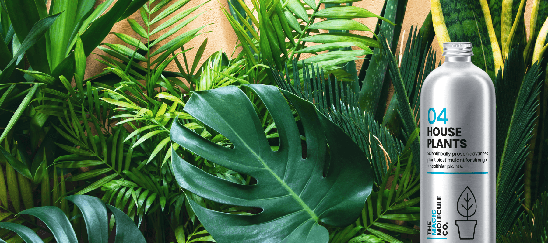 Create your own indoor jungle