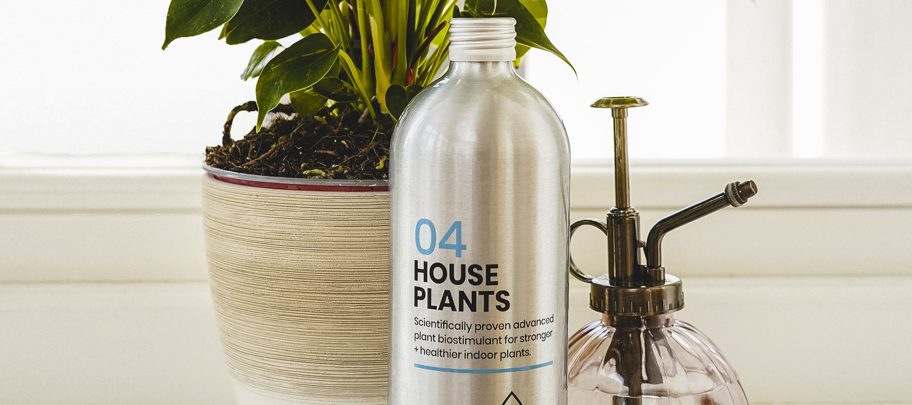 Can The Magic Molecule Co. products be used in pots and window boxes?