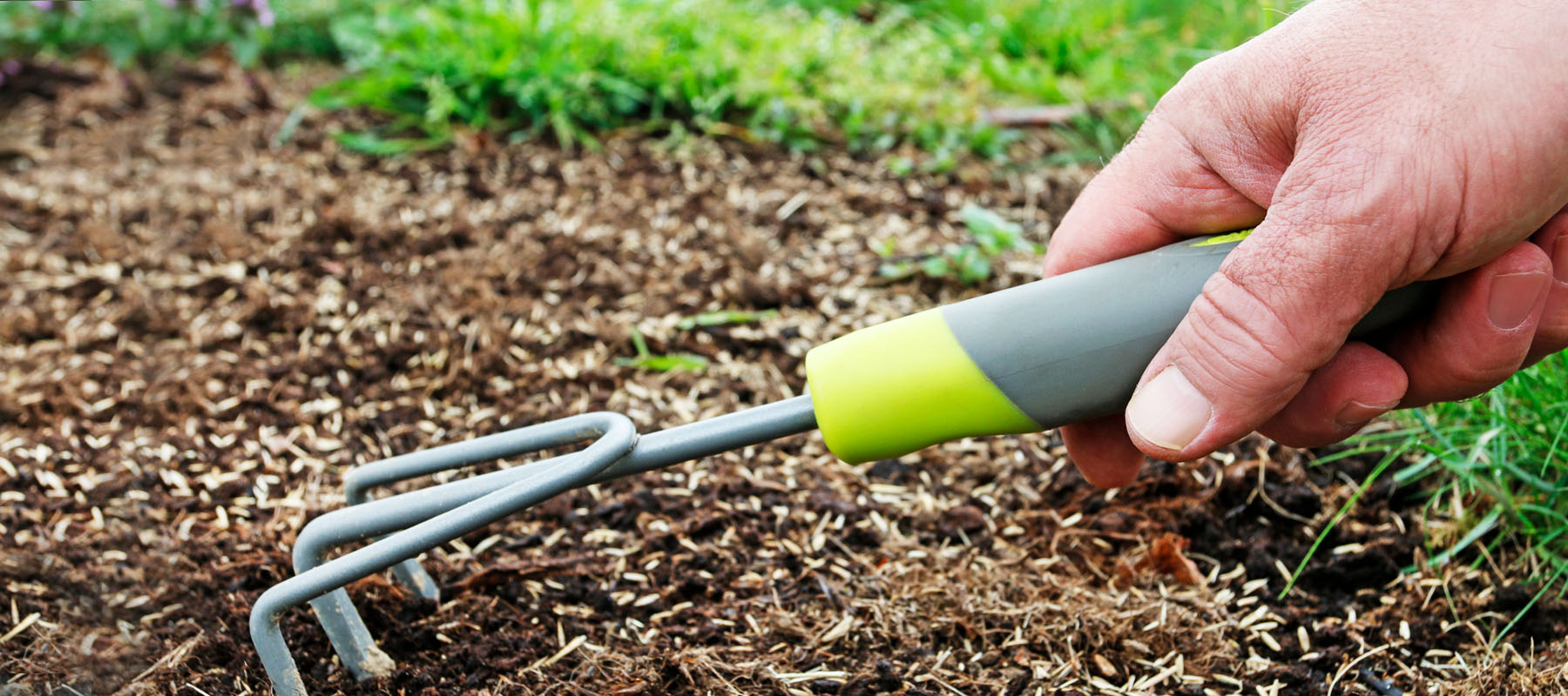Preparing your lawn for summer